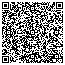 QR code with Pub Mobile 2000 contacts