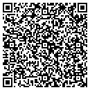 QR code with Pressed For Time contacts