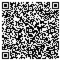 QR code with N-Zone contacts