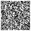QR code with PSI Tools contacts