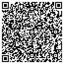 QR code with Borghi Floors contacts