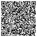QR code with Torrid contacts