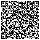 QR code with Pragmatic Systems contacts