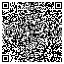 QR code with Capricorn Carpet Co contacts