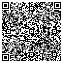 QR code with Puxico Press contacts
