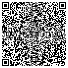 QR code with Blimpie Subs & Salads contacts