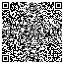 QR code with Blu Construction Inc contacts
