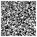 QR code with Premier Networks contacts