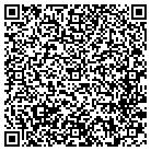 QR code with Pump It Up Party Zone contacts