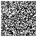QR code with Premier Pool & Spa contacts