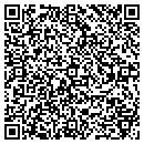 QR code with Premier Self Storage contacts