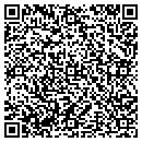 QR code with Profitzplus.Com LLC contacts