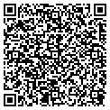 QR code with Pulse contacts