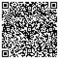 QR code with Shell contacts