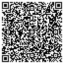 QR code with Pure Flo Precision contacts
