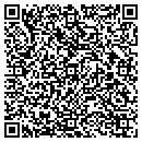 QR code with Premier Incentives contacts