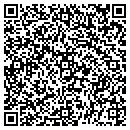 QR code with PPG Auto Glass contacts