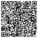QR code with McCdd contacts