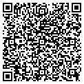QR code with Vintij contacts