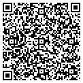 QR code with AMF contacts