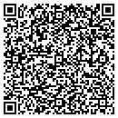 QR code with Pro Insulation contacts