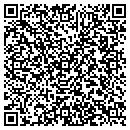 QR code with Carpet Store contacts
