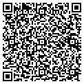 QR code with Modis contacts