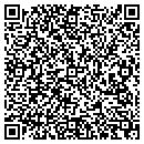 QR code with Pulse Group The contacts
