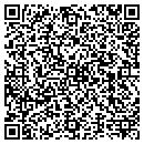 QR code with Cerberus Technology contacts
