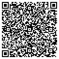 QR code with Alltel contacts