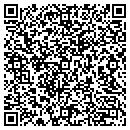 QR code with Pyramid Service contacts