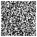 QR code with Pro-One Roofing contacts
