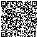 QR code with Modot contacts