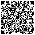 QR code with Bashas' contacts