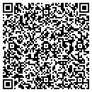 QR code with Practice Max contacts