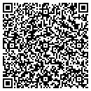 QR code with Carlson Surveyors contacts