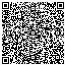 QR code with Protection Concepts contacts