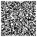 QR code with Cyber Solutions Online contacts