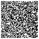 QR code with Pulse Combustion Systems contacts