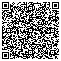 QR code with Mollys contacts