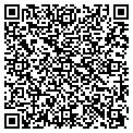 QR code with Fifi's contacts