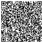 QR code with Blue Dolphin Iron Works contacts