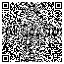 QR code with Brileys Tree Service contacts