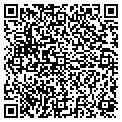 QR code with D Day contacts