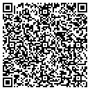 QR code with Public Arts Program contacts