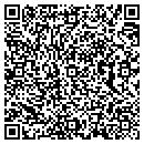QR code with Pylant Tires contacts