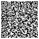 QR code with Premium Auto Service contacts