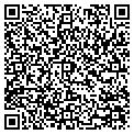 QR code with AMF contacts