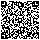 QR code with Premier Insulation LLC contacts