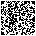 QR code with Bogys contacts